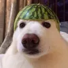 yeuemlvmax_