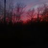 sarahhenning685