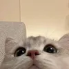 uservtcfsu2xrn