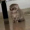 arunrat_093