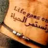 lolobnani305