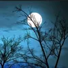 moon097328