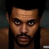 abel.makkonen.tesfaye1