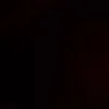 dyq8lxtzm41n