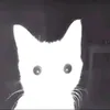 _drunkcat_
