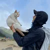 kingbbet