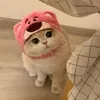 _embecute2105_