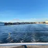user_77661