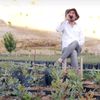 Haki Elik