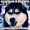 bleydov1