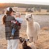 lifeonthehomestead