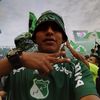aliriolamos