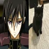 rengokukyojoro1