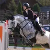 equestrian__dreamer