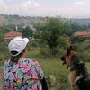 1.civciv