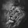 abdo_97_1