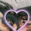 xmar_bellex