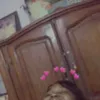 leslieelsa2
