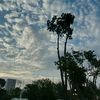 nathanielvivanco12