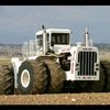 jhon12554