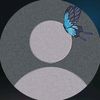 user2vpfwybg6u