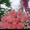 user3389618349116