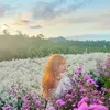 phuongdth_126