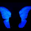 angel_nomber
