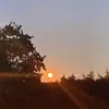 smgfatash133__