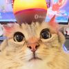 .moderlive