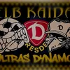 dynamo_ultras