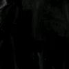shadowsightssightings_