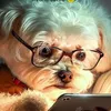 user1806612385570