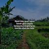 radittea24