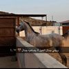 saad_alharbi12