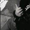 arivedia23