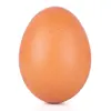 edtheegg1