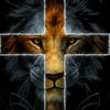 new_deciple_of_god