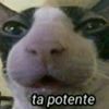 kevin2609__