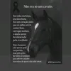 aldineidesilva16