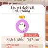 zinnday6645