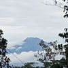 besok_sen