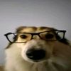 memes_xd0999