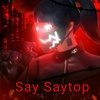 pb_saysaytop