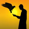 malikewaseem602