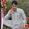 sharifgulswabi