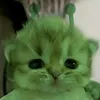 waedyruyilh