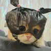 _pebangcutii