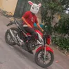 danielcoelham
