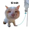 bin.ts